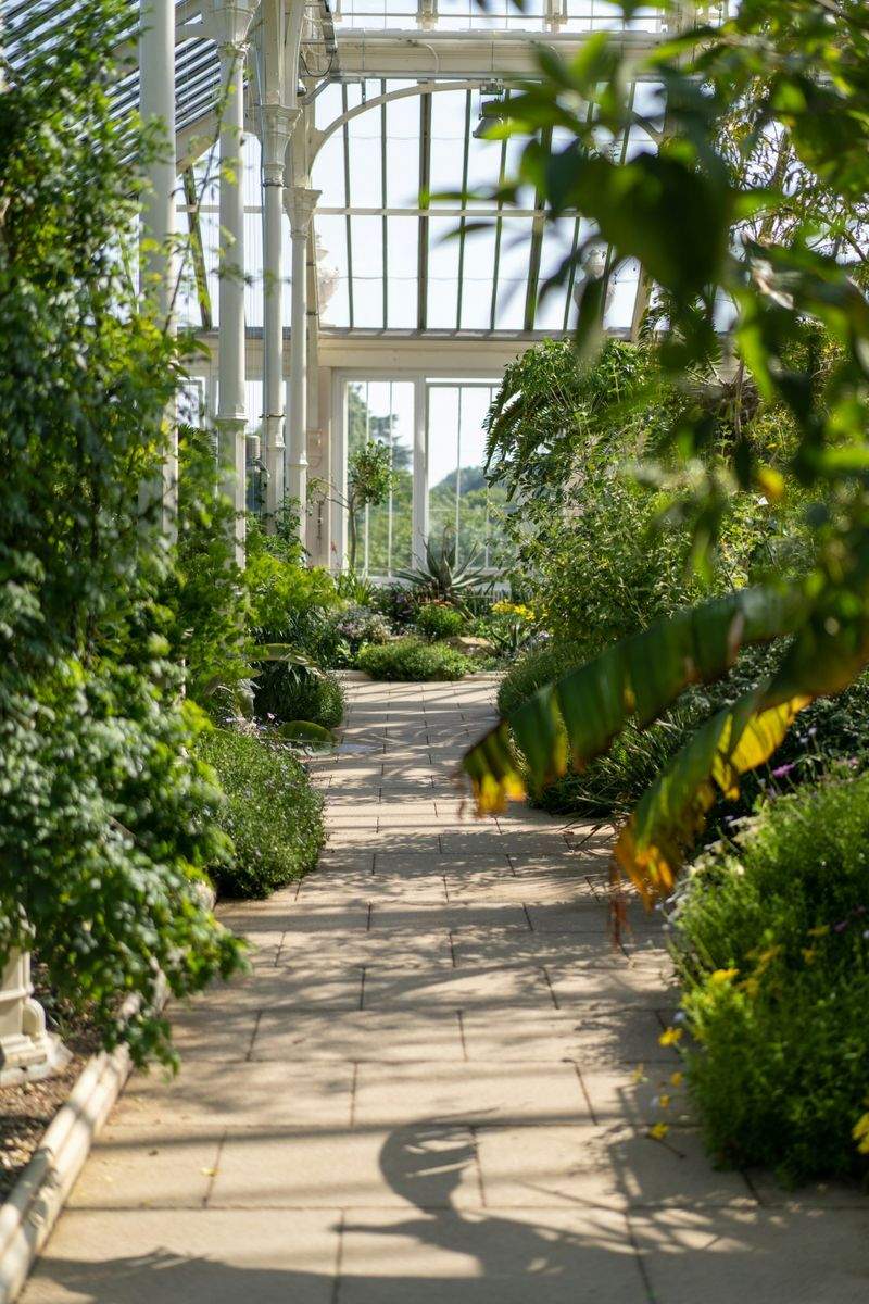 Señales de que tu jardín necesita una poda profesional