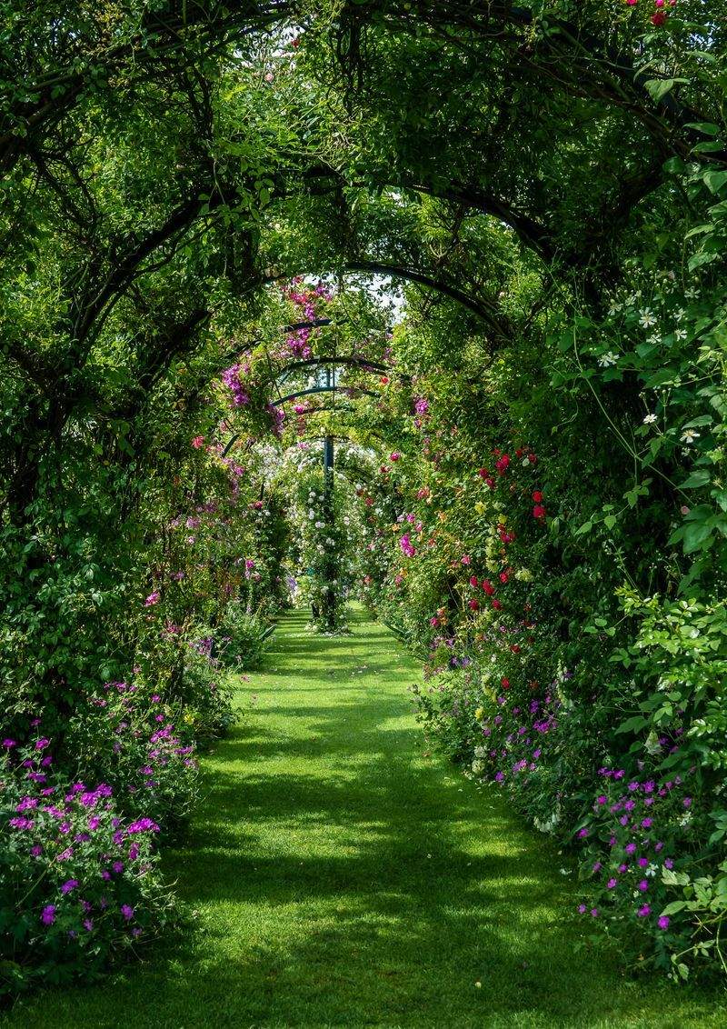 VerdeVivo Jardinería Paulista 3